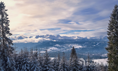 Tatry zimą zawarte w naturalnej ramie z drzew.Zdjęcie zrobione w Rzepiskach