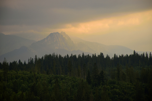 Fotografia Giewontu w świetle zachodzącego słońca wykonana z Bukowiny Tatrzańskiej. Zdjęcie udało się wykonać pod koniec pochmurnego i deszczowego dnia, w którym przez większość czasu nie było widać drzew znajdujących się na pierwszym planie. 