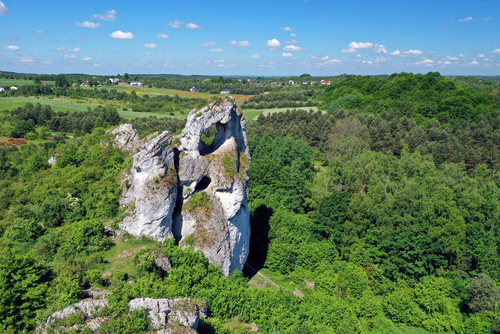 Limestone rocks on Jura Krakowsko-Czestochowska - Poland
