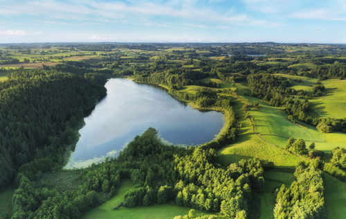 Beautiful summer landscape with lake, green forests and blue sky - aerial shot