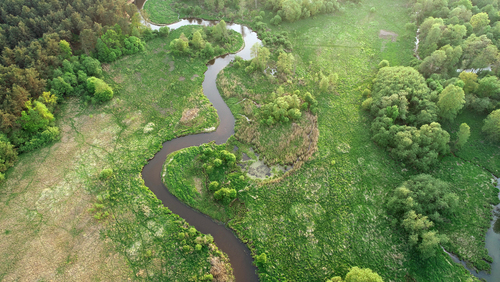 Aerial view of natural river in spring