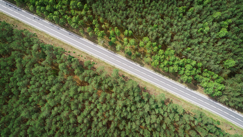 Aerial landscape - road in the forest
