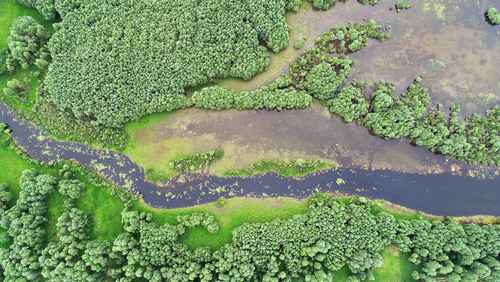 Aerial landscape- natural river