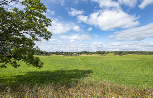 Beautiful summer landscape with green fields and blue sky 