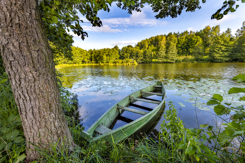 Beautiful summer landscape with green boat and lake