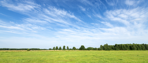 Beautiful summer day over green fields against blue cloudy sky - panorama