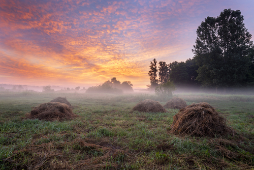 Beautiful summer sunrise over fields with hay stack