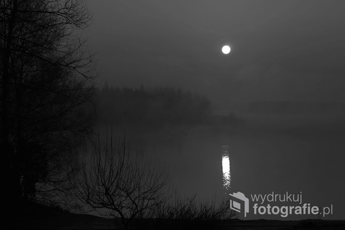 Fotografia  została  wykonana  w  ekstremalnych warunkach nocnych ......W   wersji  ciemniejszej .                                                                                                                                                                                                              