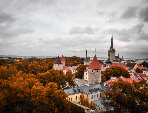 Zdjęcie, które zrobiłem podczas mojego wyjazdu do stolicy Estonii. Przedstawia przepiękne stare miasto oraz zatokę widzianą ze wzgórza. Wszystko to otulone przytulnym jesiennym klimatem. 