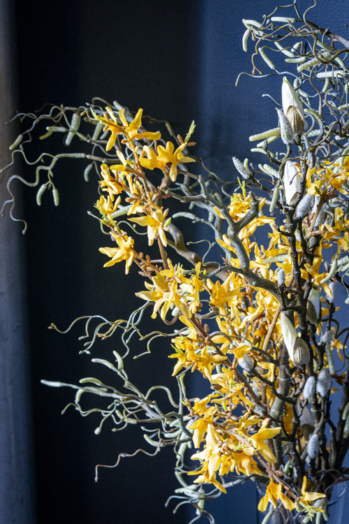 Żółte kwiaty na niebieskim tle.Zdjęcie wykonane w Witkowicach, Ostrawa, Czechy.
Zrobione lustrzanką cyfrową Nikon D5200 z obiektywem Sigma 70-200 f2,8.