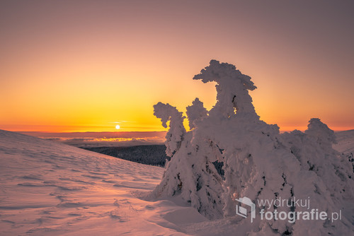 8 lutego 2020. O 5 rano wejście na Pradziada.  Śnieg, świt i wschód Słońca w pięknej scenerii. 