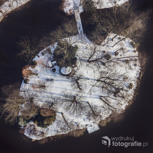 Fotografia dronowa wykonana w lutym 2021 roku w parku zamkowym w Pszczynie. Fotografia prezentuje jedną z wysp parkowych uchwyconą z lotu ptaka. 