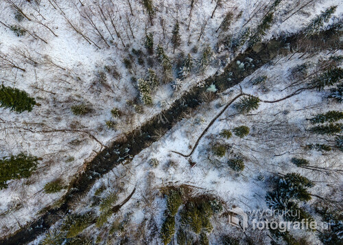Zimowa dolina Zimnika w Beskidzie Śląskim na lotniczej fotografii. Zdjęcie wykonane w marcu 2021 roku u podnóża Skrzycznego w malowniczej dolinie. 