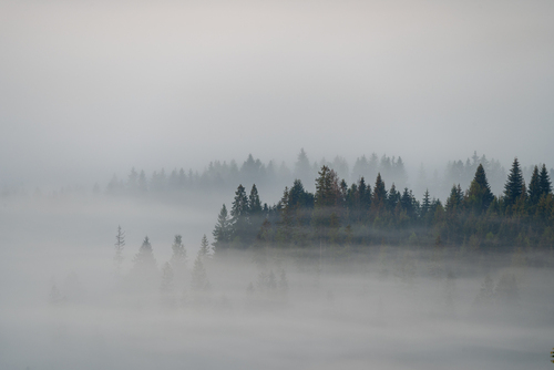 Poranki w Beskidach potrafią zachwycić. To jeden z tych wyjątkowych mglistych poranków w Beskidzie Śląskim. 