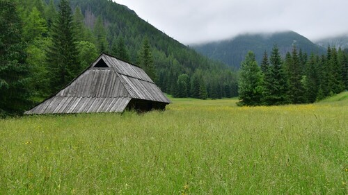 Dolina Jaworzynka. Fotografia wykonana w lipcu 2021r