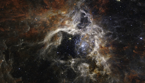 Zdjęcie uchwycone przez kamerę kosmicznego teleskopu Jamesa Webb'a rejestrującą w bliskiej podczerwieni przedstawia region przypominający dom tarantuli wyłożony jedwabiem. Widoczne na środku wgłębienie mgławicy zostało 
