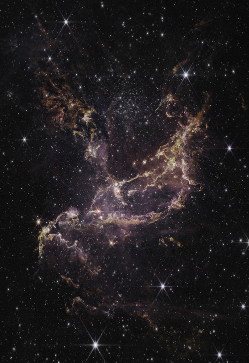 NGC 346, znajdująca się w Małym Obłoku Magellana (SMC), jest jednym z najbardziej dynamicznych obszarów gwiazdotwórczych w pobliskich galaktykach.

Image Credits: NASA, ESA, CSA, STScI, Webb ERO Production Team