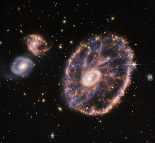 Galaktyka Koło Wozu położona w konstelacji Rzeźbiarza to unikalny widok Jej nazwa pochodzi od jej wyglądu - przypomina właśnie koło od wozu. Taki wygląd jest wynikiem kolizji dużej galaktyki spiralnej - i drugiej, mniejszej, której nie widać na zdjęciu.

IMAGE: NASA, ESA, CSA, STScI, Webb ERO Production Team
