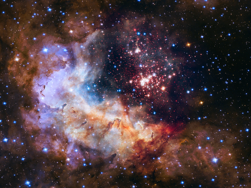 Westerlund 2 zawiera co najmniej 37 niezwykle masywnych gwiazd, niektóre o masie do nawet 100 mas Słońca. Emitowane przez nie niezwykle intensywne promieniowanie ultrafioletowe i huraganowe wiatry gwiazdowe działają jak miotacze ognia i niszczą dyski wokół sąsiednich gwiazd, rozpraszając gigantyczne obłoki pyłu.

IMAGE: NASA, ESA, Antonella Nota (ESA, STScI), Hubble Heritage Project (STScI, AURA), Westerlund 2 Science Team