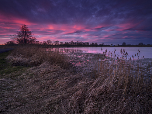 Trzecie zdjęcie z odcinka: https://youtu.be/giHIfRcXC7I

Zaraz po zachodzie słońca niebo zapłonęło takimi kolorami. Nie często można podziwiać taki spektakl barw w środku zimy, także byłem przeszczęśliwy dokumentując to piękno.

Więcej o tym zdjęciu jak i kilku innych w odcinku.

Pozdrowienia,
Wojciech Wandzel
