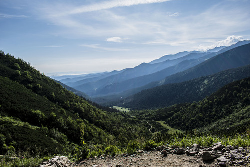 Krajobraz na Halę Kondratową widzianą z niebieskiego szlaku prowadzącego na Giewont