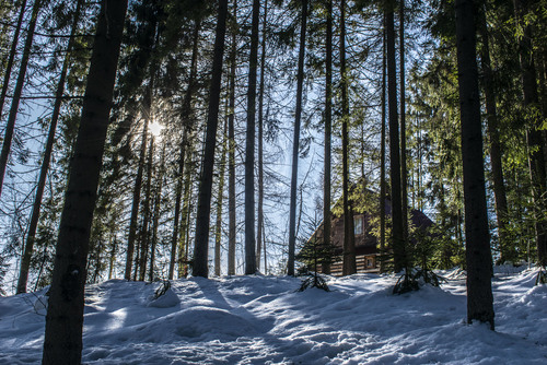 Górska chata w promieniach słońca zimową porą w Gorcach