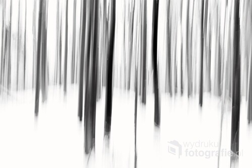 Nieco abstrakcyjne przedstawienie zimowego lasu.
