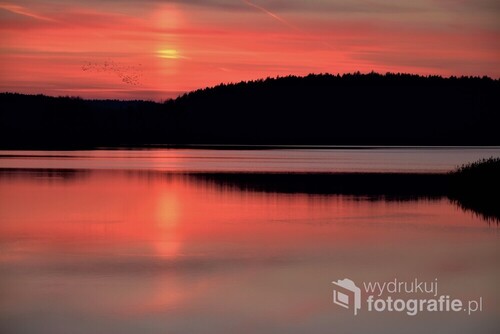 Ptaki na tle zachodzącego słońca. Jezioro Ukiel w Olsztynie.
