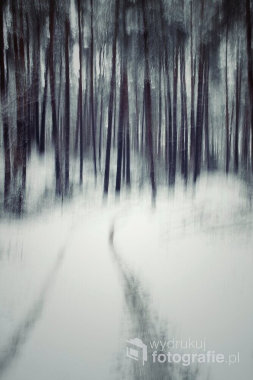 Warmiński las w zimowej,  nieco  abstrakcyjnej odsłonie.