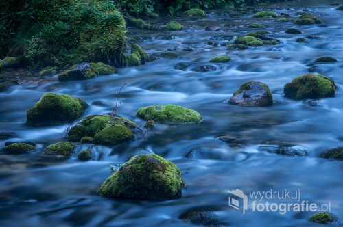 Kościeliski Potok w niebieski godzinie zmroku malowniczo uwypuklającej ruch wody oraz zieleń mchów.