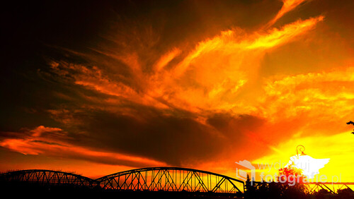 Fotografia ukazująca lecącego feniksa oświetlonego dodatkowo zachodem słońca w mieście Toruń. Oczywiście interpretacja jest moim spostrzeżeniem i chcę dodać, że też widzę na tym zdjęciu naszego polskiego bociana którego stworzyła natura z chmur. Z wyrazami szacunku Robert J. 