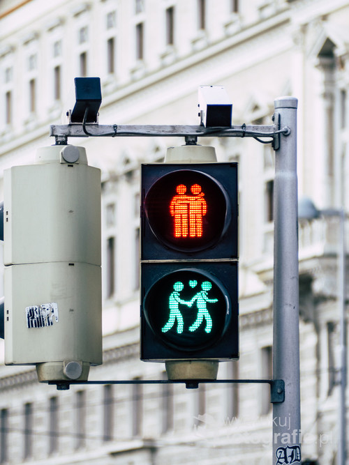 Fotografia przedstawia niezwykłe światła na przejściu dla pieszych w Wiedniu, które są symbolem tolerancji mieszkańców stolicy Austrii.