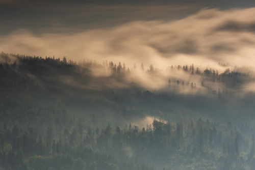 Zdjęcie wykonane z zielonego szlaku biegnącego z Brennej Leśnicy na Trzy Kopce Wiślańskie. Przedstawia mgły przelewające się przez grzbiet Starego Gronia. 