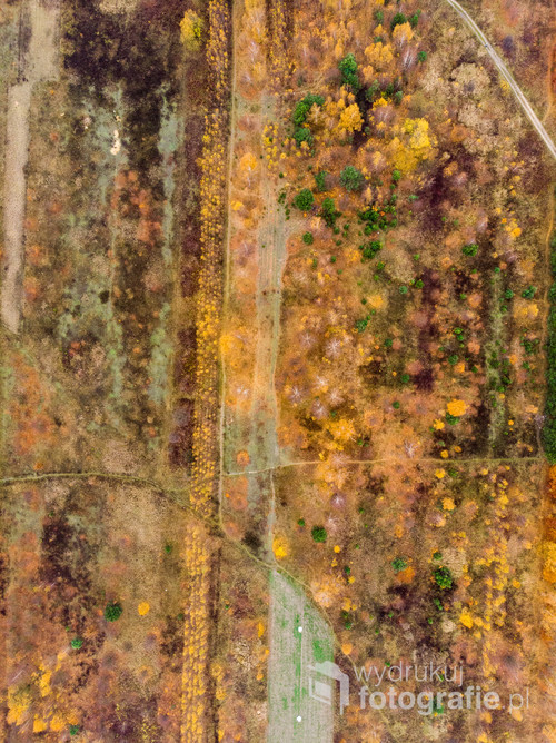 Jesień z drona