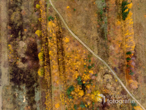 Jesień z drona 
