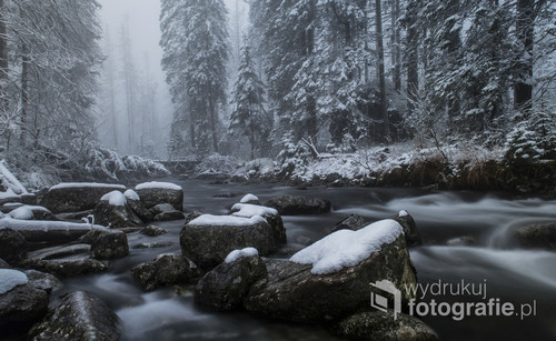 Potok w Dolinie Roztoki, w zimowej scenerii.