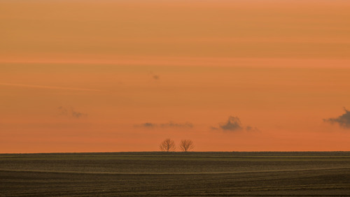 Fotografia wykonana  w małopolskich polach o zmierzchu