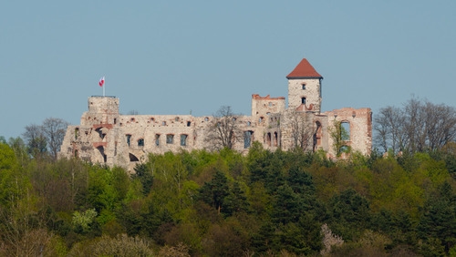 Fotografia ruin zamku w Rudnie