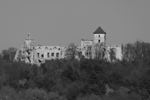 Fotografia ruin zamku w Rudnie woj. maopolskie
