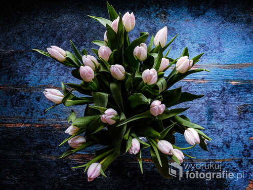 Bukiet białych tulipanów.