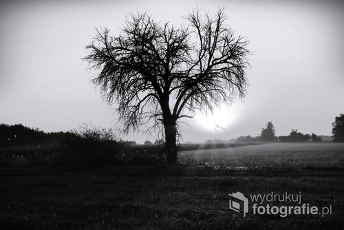 Zdjęcie przedstawia mazowiecki wiejski poranek.Powstało w okolicach ziemi ciechanowskiej.