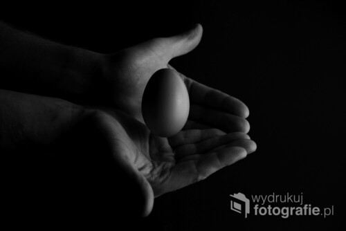 Zdjęcie to powstało z myślą o konkursie. Chociaż już wcześniej podobny projekt chodził mi po głowie, gdzie jajko jako symbol początku (chociaż nadal nie wiadomo co było pierwsze, jajko czy kura :) umieszczę na palcu, aby podkreślić symboliczne znaczenie jajka. W trakcie realizacji wpadłem na pomysł, żeby jednak jajko objąć w dłonie,  aby podkreślić jego kruchość  i znaczenie.