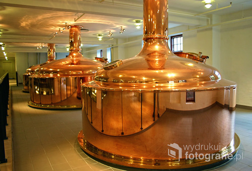 Browar Carlsberg/Tuborg, Kopenhaga, 2005