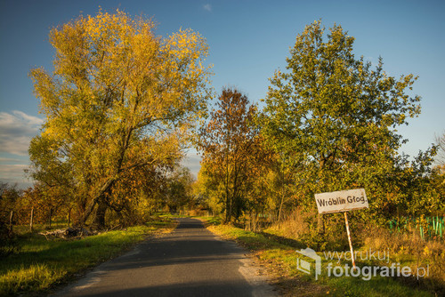Wjazd do Wróblina Głogowskiego- opuszczonej, z powodu zanieczyszczeń z pobliskiej huty, wsi nieopodal Głogowa. 