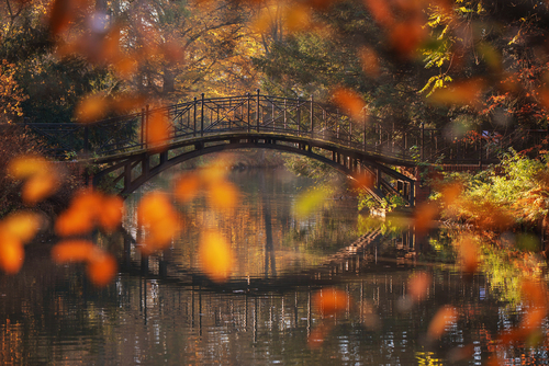 Zdjęcie wykonane w parku w Pszczynie, widok na jeden z mostków z za liści magnolii. 