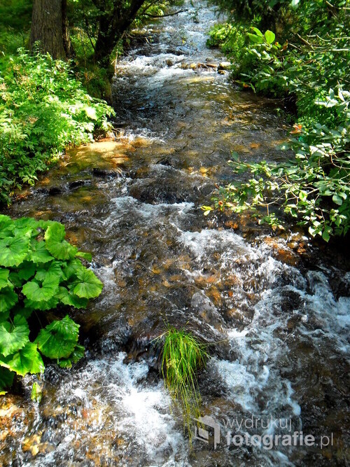 Rzeka w Zakopanem