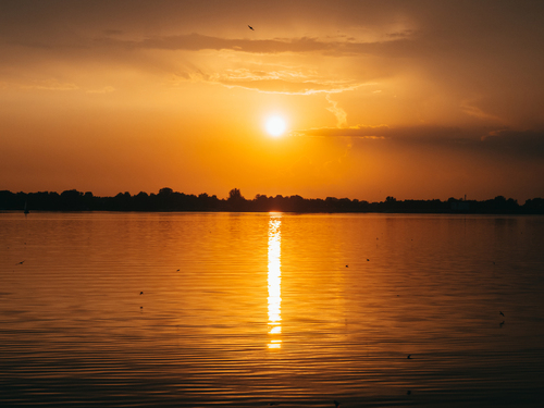 Kolejny prześliczny zachód słońca nad jeziorem w Poraju, niemal abstrakcyjny, bajkowy, w dodatku ptaki postanowiły zapozować dla lepszego efektu. Zwierzęta to mają wyczucie czasu!