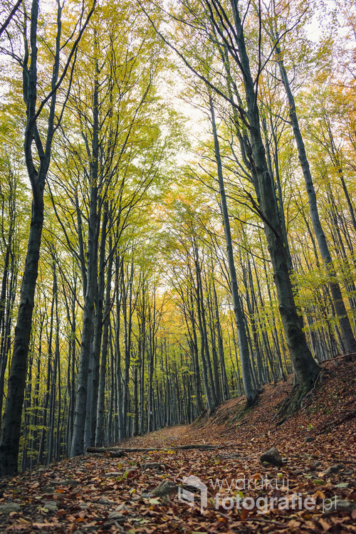 Góry Sowie i piękne lato przechodzące powoli w jesienny klimat. Jeden z nielicznych szlaków na Kalenicę. 