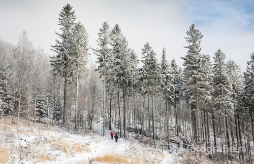 Zdjęcie wykonane w  Górach Wałbrzyskich. Pogoda była sprzyjająca, choć zimno dawało się we znaki. Obraz przedstawia grupę kilku osób, pokonującą własne słabości i zdobywające kolejny szczyt. Przed nimi długa droga. 