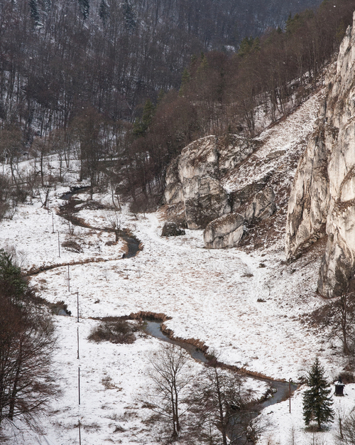 Uchwycone na zimowym spacerze po Ojcowskim Parku Narodowym - Dolina Prądnika.